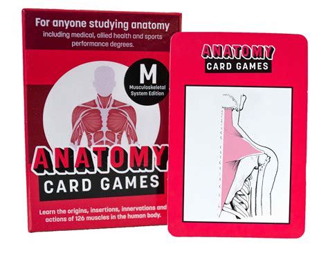 Musculoskeletal System Edition - Anatomy Card Game