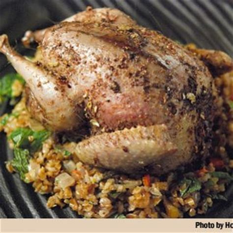 Dove Recipes and Pigeon Recipes