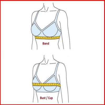 How To Measure Torso Bust Waist And Hips