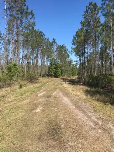 Best Trails And Hikes In St Augustine Alltrails