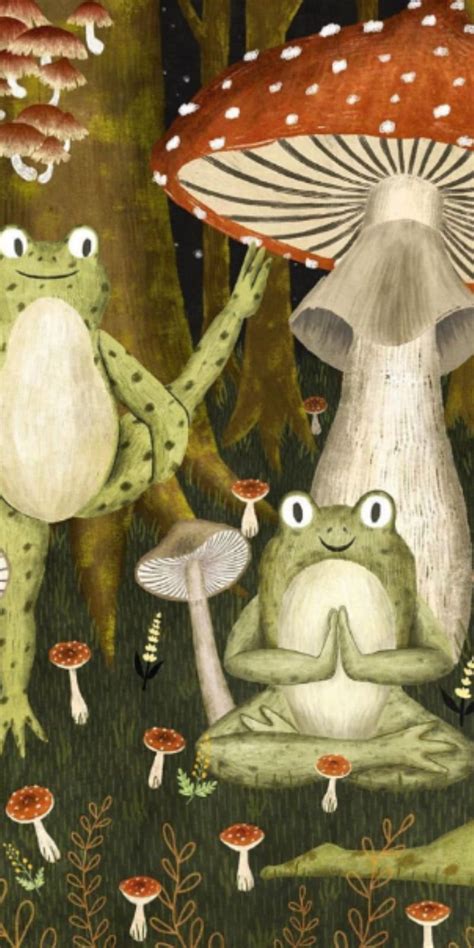 Hd Frog On Mushrooms Wallpaper By Spiritofcourage