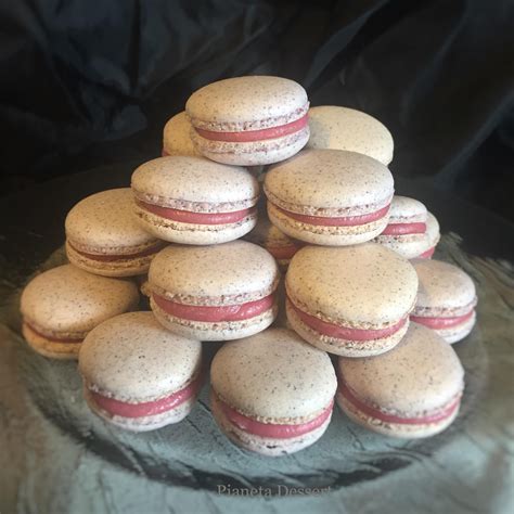 Come Si Fanno I Macarons Nelle Pasticcerie D Elite I Macarons Vengono