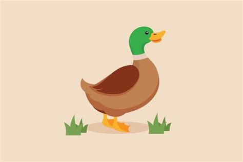 Duck Vector Art Icons And Graphics For Free Download