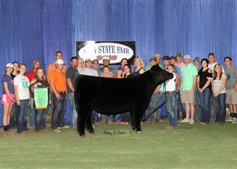 Congrats To All The Tremendous Champions At The Iowa State Fair Steer