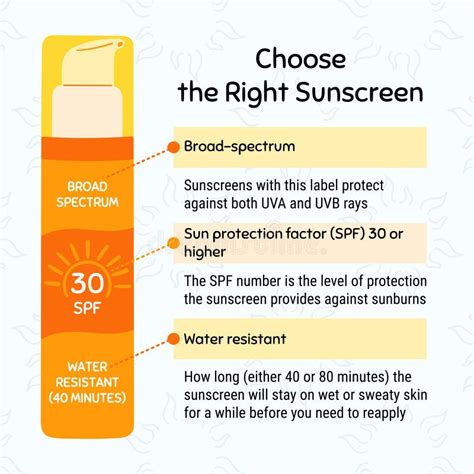 How To Choose Sunscreen Infographic Broad Spectrum Water Resistant