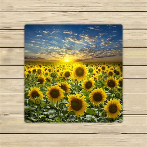 Phfzk Beautiful Sky Cloud Towel Nature Art Sunflower Field Landscape