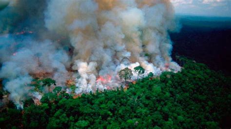 Incendio En Amazonía Jair Bolsonaro Insinúa Que Ong Ambientalistas