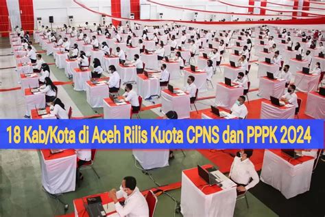 18 Kabupaten Dan Kota Di Aceh Rilis Kuota Formasi CPNS Dan PPPK 2024