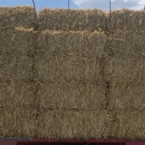 Straw Bales for Sale - AllHay.com