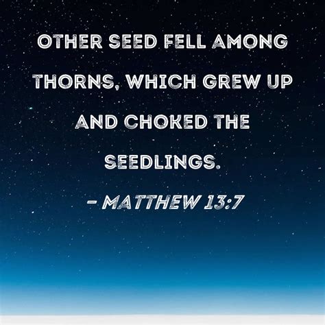 Matthew 13 7 Other Seed Fell Among Thorns Which Grew Up And Choked The