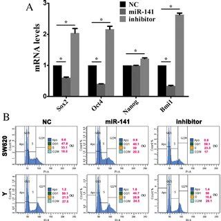 Mir Inhibits The Maintenance Of Cancer Stem Cell Stemness Cells