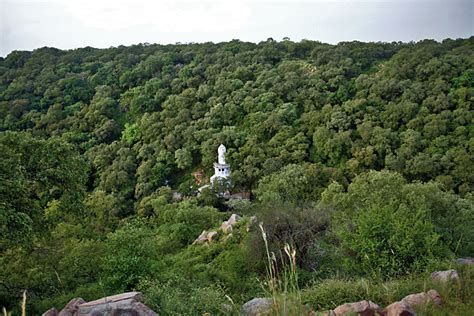 Mangar Bani And Other Forests