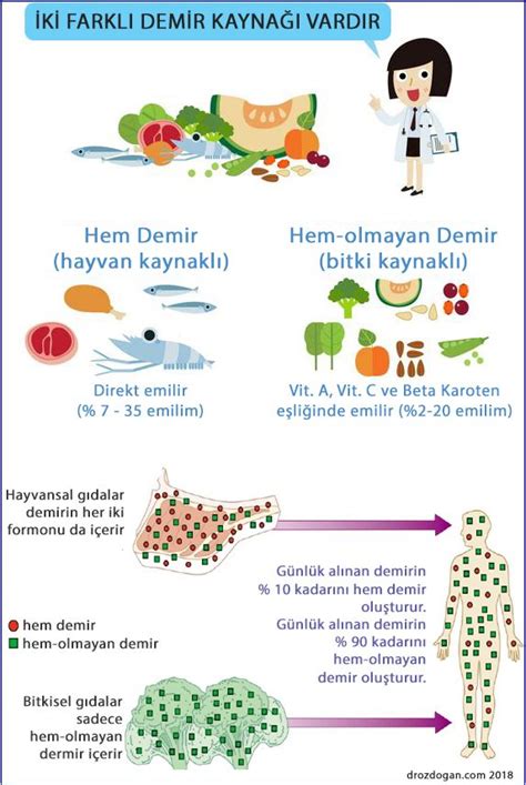 Vejetaryen ve veganlar için demir yönünden zengin besinler Prof Dr