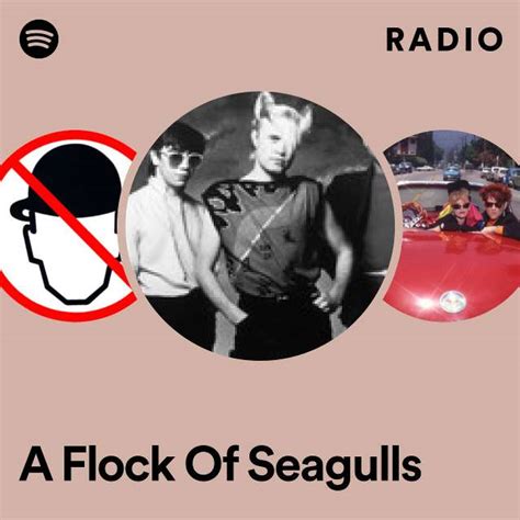 A Flock Of Seagulls Radio Playlist By Spotify Spotify