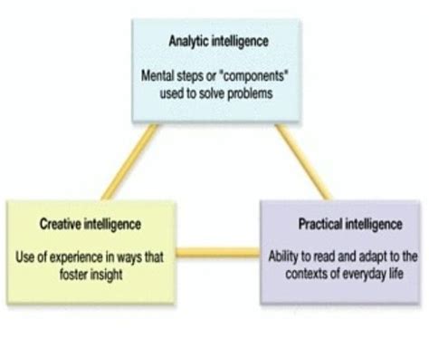 _psychlife_. Robert Sternberg proposed a theory of intelligence because he disliked IQ. He ...