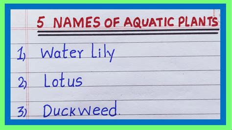 Aquatic Plants Names In English 5 Names Of Aquatic Plants List Of