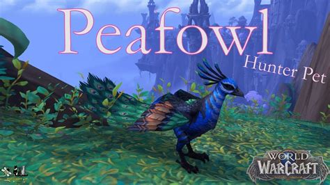 Peafowl Hunter Pet Dragonflight Wow Ep Youtube