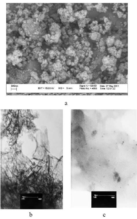 Scanning Electron Microscope Sem A And Transmission Electron