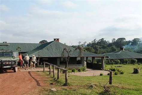 Days Mid Range Safari To Lake Manyara Serengeti And Ngorongoro