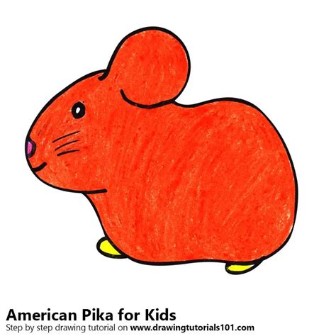 Learn How To Draw An American Pika For Kids Animals For Kids Step By