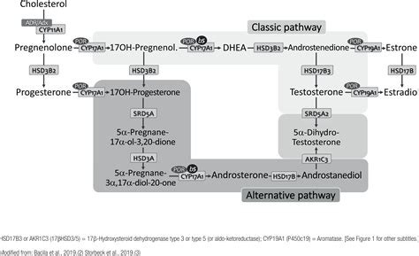 Scielo Brasil Classic And Current Concepts In Adrenal Steroidogenesis