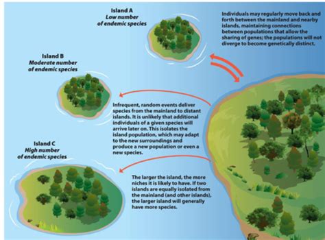 Ecology Exam Flashcards Quizlet