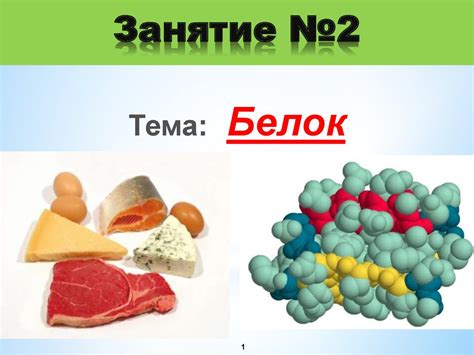 Белок. Функции белков - online presentation