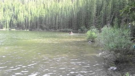 Horse Swimming In Eagle Lake Alberta Youtube