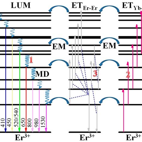 Diagram Of Yb³⁺ And Er³⁺ Energy Levels With The Main Possible Pathways