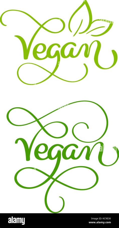 Set Of Vegan Word On White Background Hand Drawn Calligraphy Lettering