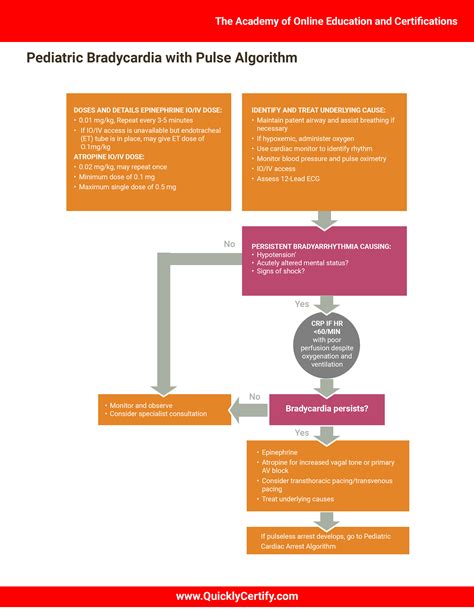 Pediatric Advanced Life Support Algorithms The Institute Of