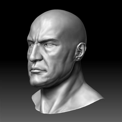 Male Head 3D Model TurboSquid 1390414