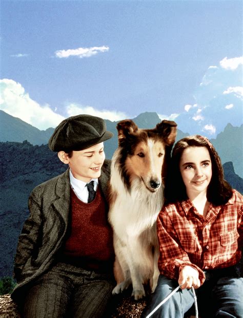 The 25 Best Dog Movies of All Time | Woman's World