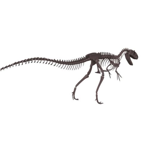 Allosaurus 3D Model 10 Fbx Ma Max Obj Free3D