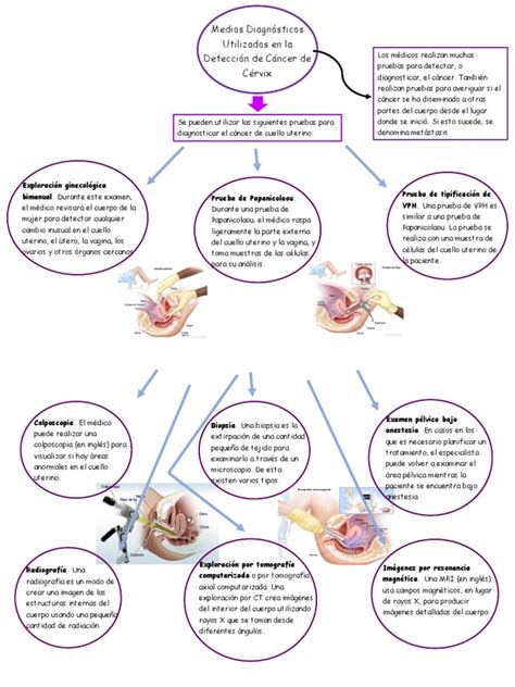 Mapa Conceptual De Diagnósticos Pdf Cáncer Vejiga Urinaria