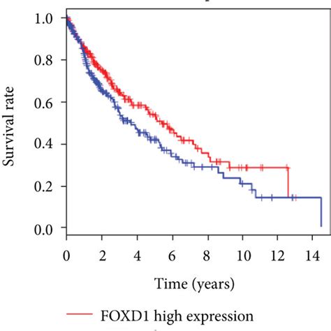 Expression Of Mir A P And Foxd In Lscc Volcano Plot Of Demirnas