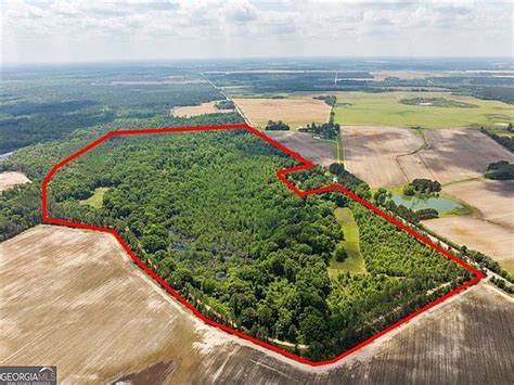 2221 Abbeville Hwy Hawkinsville Ga 31036 Mls 20177328 Zillow