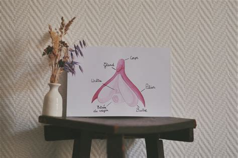 Anatomy Of The Clitoris Sex Education Scheme Watercolor Etsy Uk