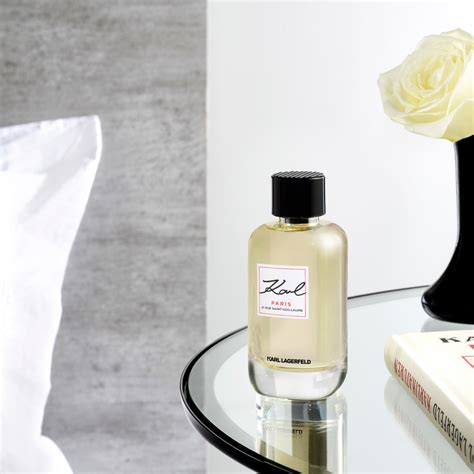 Karl Lagerfeld Paris - Купить в Киеве (Украина), цена, отзывы, фото ...