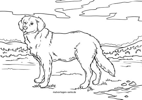 Tolle Ausmalbilder Hunde Kostenlos Herunterladen Und Ausmalen