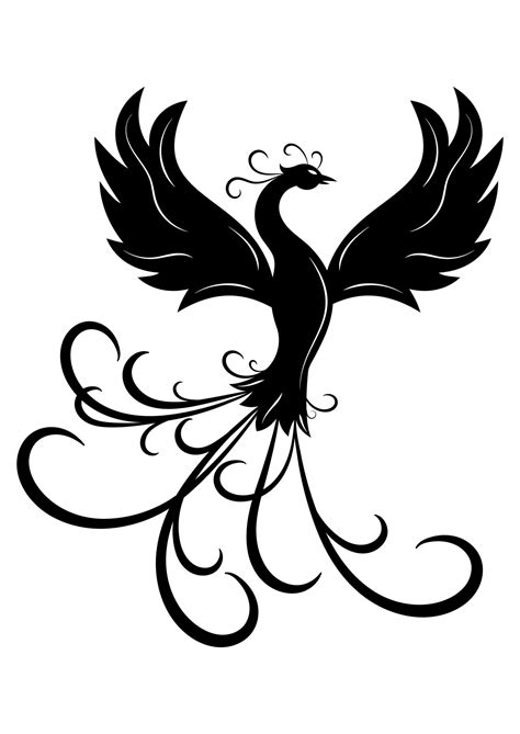 Phoenix Bird Vector Illustration On White Background 25868723 Vector