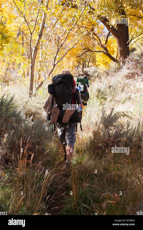 Utah Grand Gulch Hi Res Stock Photography And Images Alamy