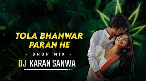 Tola Bhanwar Paran He Mor Chaiya Bhuiya Cg Dj Song Dj Karan