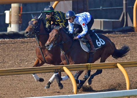 【デイリー杯2歳s】ダノンタッチダウン 狙い通りソフト仕上げ 連勝で重賞奪取だ 競馬ニュース