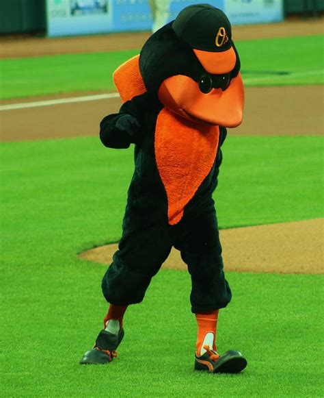 Orioles Mascot