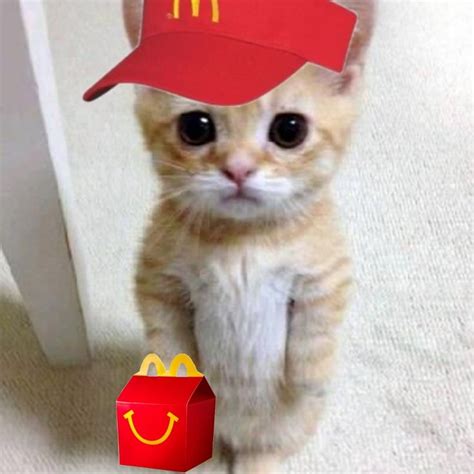 Matching Mcdonalds Cat Pfp Matching Pfps In 2023 Matching Cat Pfp