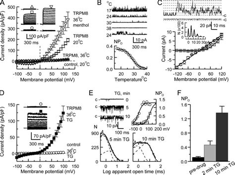 Trpm8 Mediated Currents Apart From The Classical Activation By Cold