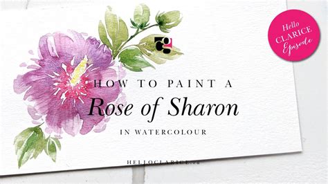 How To Paint A Loose Rose Of Sharon In Watercolour Easy Step By Step