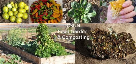 Sustainable Garden Education Center | California State University ...