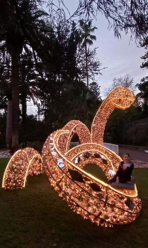 Late Lights At Perth Zoo Buggybuddys Guide To Perth